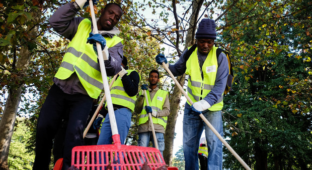A Milano i profughi puliscono i parchi. Sala: “Serve un piano nazionale”