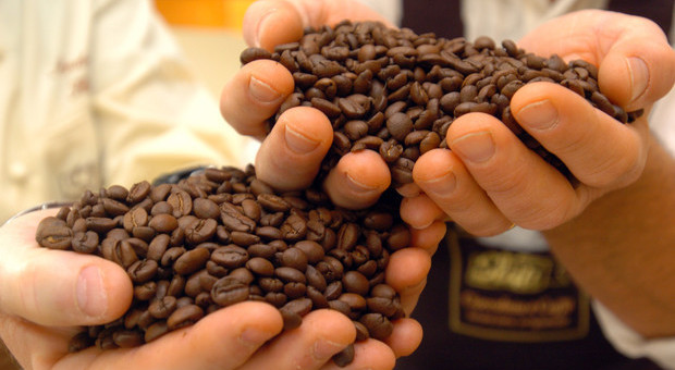 Una campagna per far diventare il caffè bene immateriale dell'Unesco