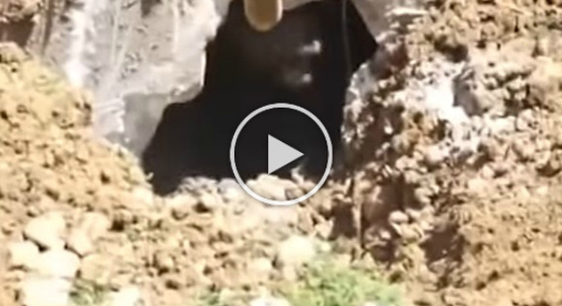Gli operai scavano una buca, sotto terra trovano una sorpresa spaventosa