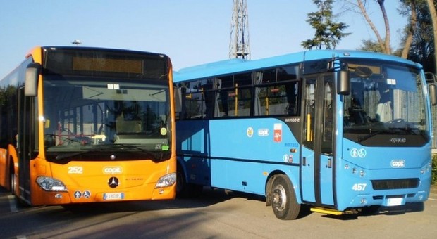 Bus e treni, la Regione stanzia 116 milioni per rinnovare il parco mezzi