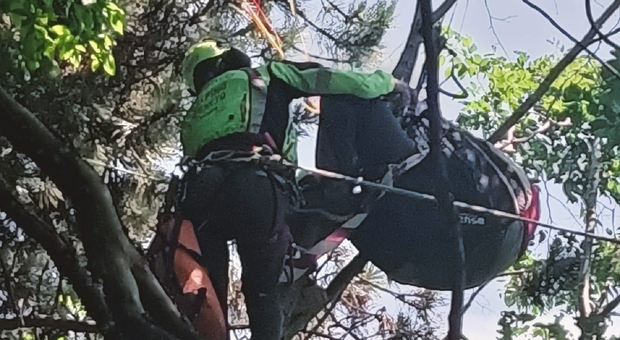 Si lancia con il parapendio e rimane impigliato tra gli alberi: soccorso un giovane padovano