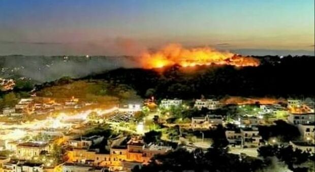 Allarme incendi in Puglia: dall'inizio dell'estate sono scoppiati 3.607 roghi