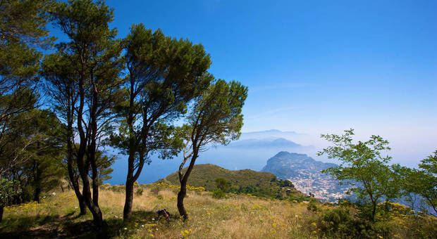 Capri, Amici di Cetrella: «La Natura come luogo dell'anima»