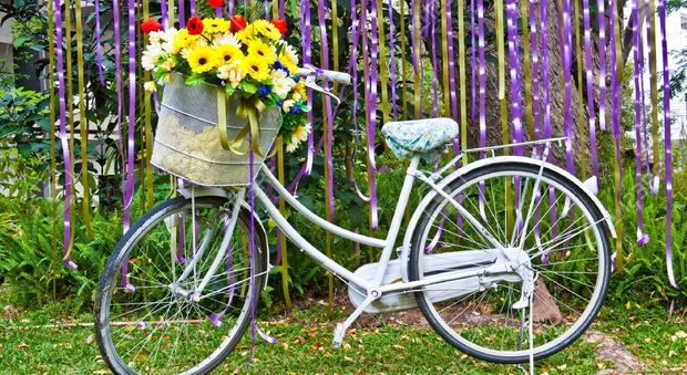 Ruba la bicicletta alla fioraia preso nella villa comunale
