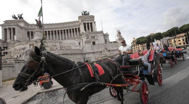 Roma, divieto di circolazione delle botticelle: la battaglia si sposta in Parlamento
