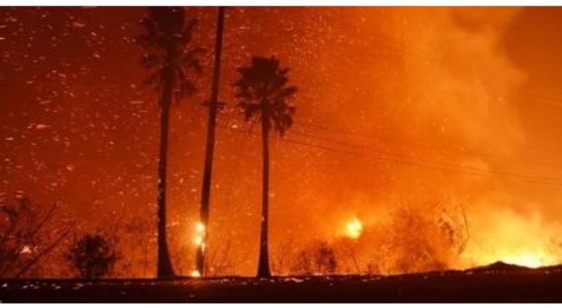 Incendi senza tregua in California, 31 morti e 228 dispersi. Lo Stato in ginocchio