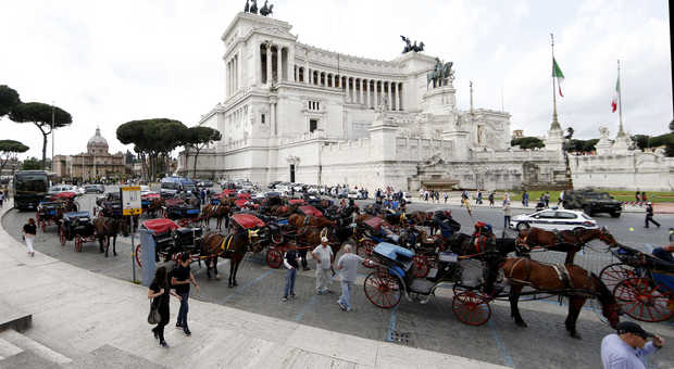 Botticelle a Roma, il caso approda alla Camera: pronto un emendamento per vietarle