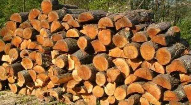 Boscaioli abusivi, arrestati per aver rubato 350 quintali di legna