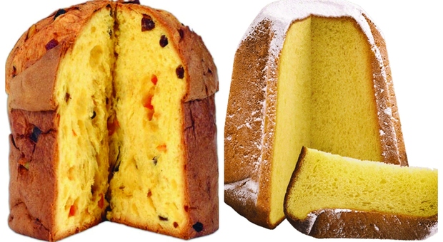 Panettone vs Pandoro, chi vince il derby delle calorie? Ecco cosa è meglio mangiare a colazione secondo gli esperti