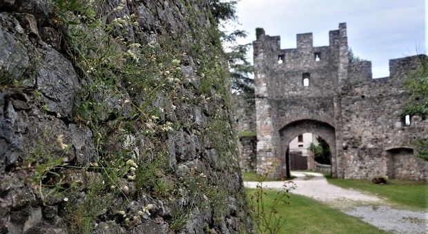 Il castello di Arcano in Friuli