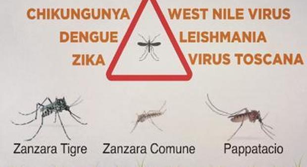 Incubo zanzare, ecco come difendersi. Tutte le istruzioni in un video -Guarda