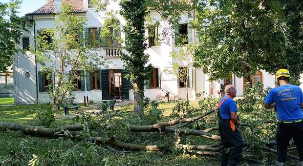 ALBERI SECOLARI Villa Concina a Dolo, con il parco pesantemente devastato dal maltempo di questi giorni