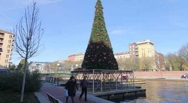 Natale in Darsena, ecco l'albero: venerdì apre il Christmas Village -Guarda