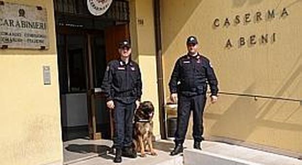 Una delle unità cinofile dei carabinieri