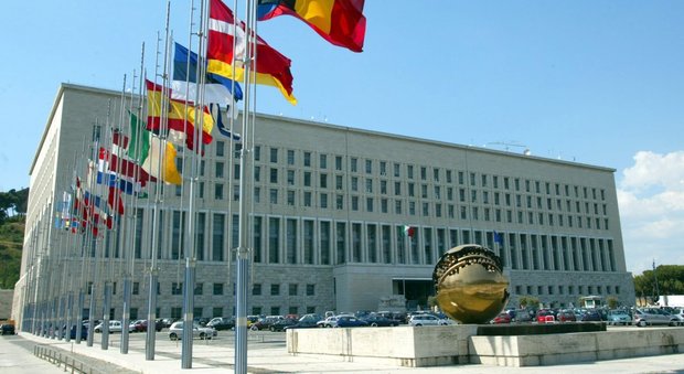 «Solidarietà con Regno Unito e Ue»: l'Italia espelle due diplomatici russi