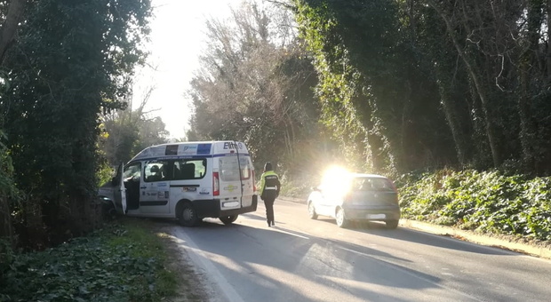 Sant'Elpidio a Mare, sbanda e si schianta contro un albero con il furgone del Comune: un uomo all'ospedale
