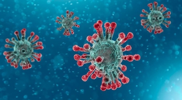 Risultato immagini per coronavirus resiste su superfici