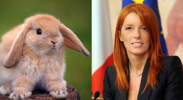Animali, proposta della Brambilla: «Carcere per chi mangia coniglio in Italia»