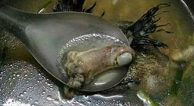 "Un dito umano nella zuppa di pesce", la foto da Taiwan diventa virale
