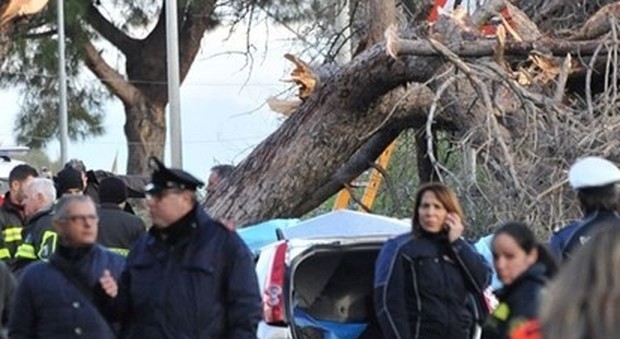 Roma, morti schiacciati da un albero: sotto accusa gli eredi dello stilista Pucci