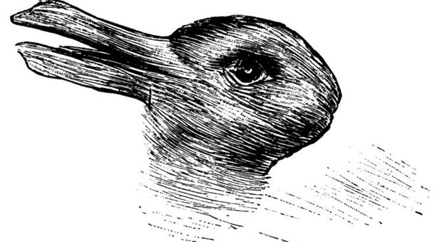 Anatra o coniglio? Quello che vedi nel disegno può dirti qualcosa sulla tua personalità -Guarda