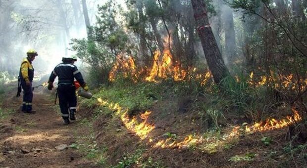Incendi, Coldiretti: 5 roghi al giorno in estate 2022