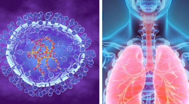 Aumento delle infezioni respiratorie: cos'è il metapneumovirus umano, i sintomi e i pericoli per l'uomo