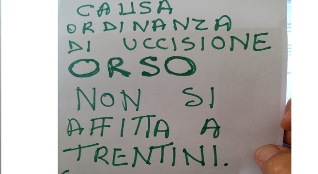 «Uccidete gli orsi», in Puglia niente case al mare in affitto ai trentini