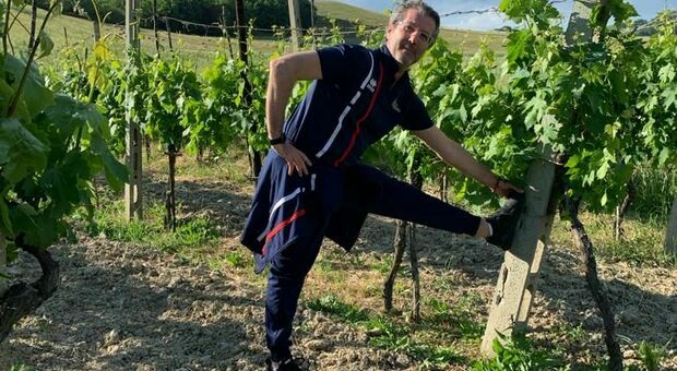 Il wine trainer Piero Viola nella vigna di Montemaggiore al Metauro