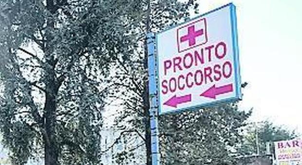 Napoli, invasione di formiche al San Giovanni Bosco: il manager convocato in Procura