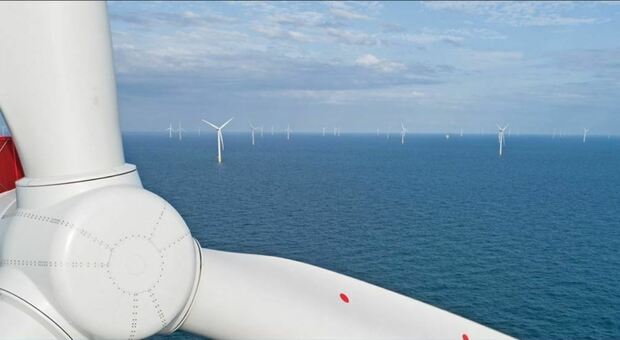 Energia, Gran Bretagna inagura il più grande parco eolico al mondo: punta a diventare l'Arabia Saudita del vento