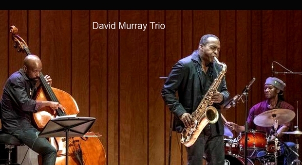 David Murray Trio
