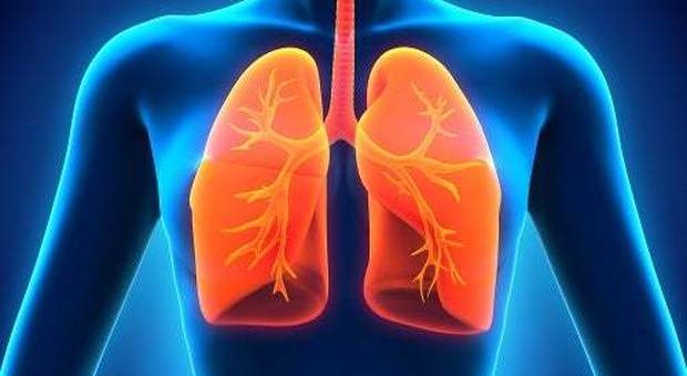 Tumore al polmone, l'immunoterapia può quadruplicare la sopravvivenza