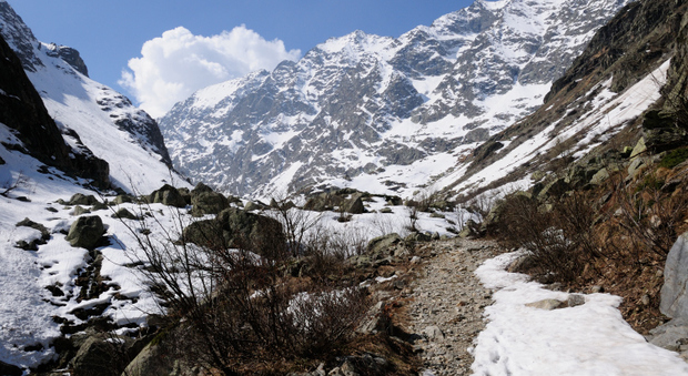 Alpinista muore travolto da una slavina: tragedia nel cuneese a oltre duemila metri di quota