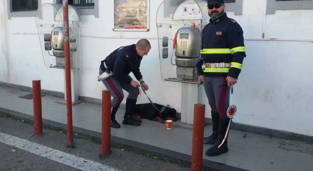 Napoli-Salerno, cagnolino abbandonato in autostrada: i poliziotti lo raggiungono a piedi e lo salvano