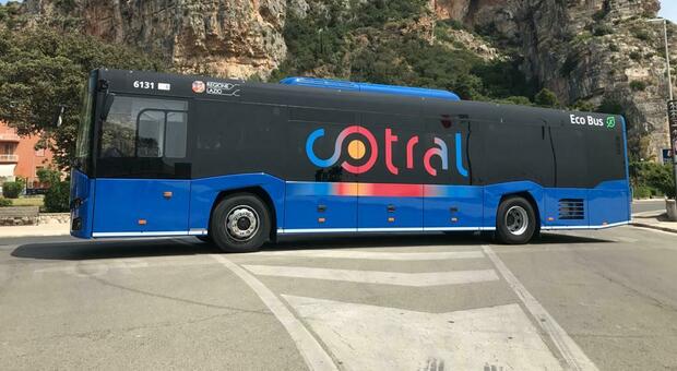 Incidente: bus di linea del Cotral esce di strada, illesi autista e passeggeri