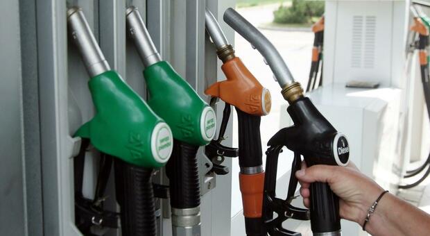 Carburanti, controlli della Finanza su trasparenza dei prezzi: 240 irregolarità
