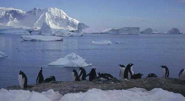 Caldo record in Antartide, temperatura a 20,7 gradi. Il ricercatore: mai accaduto finora