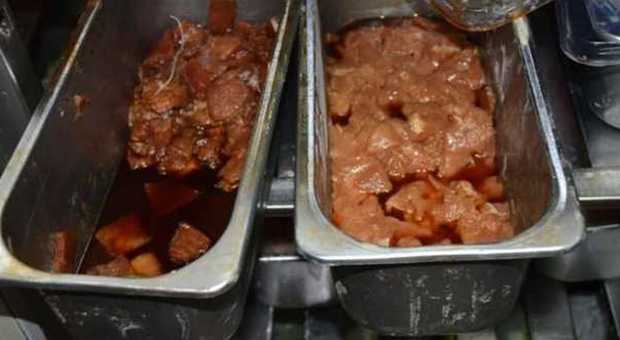 Siena, scoperto il "ristorante degli orrori": cibo scaduto ed escrementi di topo in cucina