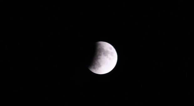 Eclissi a 50 anni dall'allunaggio: oggi la Luna celebra Apollo