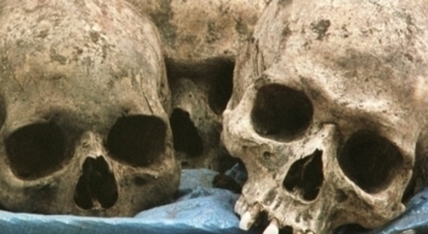 Vendevano ossa e scheletri sul web: tre indagati. Ecco il "listino prezzi"