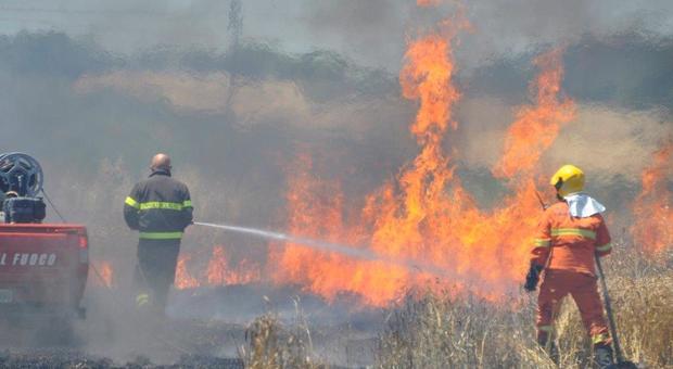 Bosco e arbusti bruciano in una vasta area a Poggio Mirteto