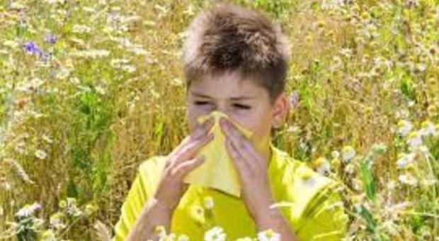 Esplode la stagione dei pollini Ecco come combattere le allergie