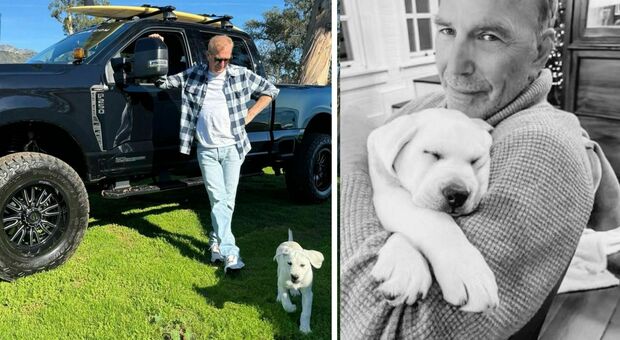 Kevin Costner si consola con un cucciolo di cane dopo il divorzio da Christine Baumgartner: «Ragazzo speciale...»