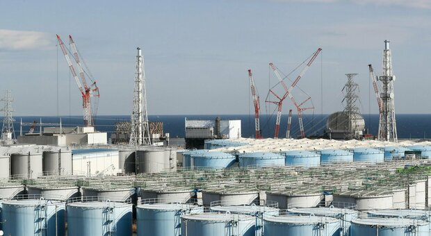 Giappone pronto a rilasciare l'acqua della centrale nucleare Fukushima nell'oceano, ecco cosa può succedere