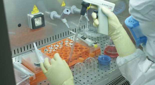 Staminali sul fegato dei neonati con gravi malattie permettono rinvio trapianto