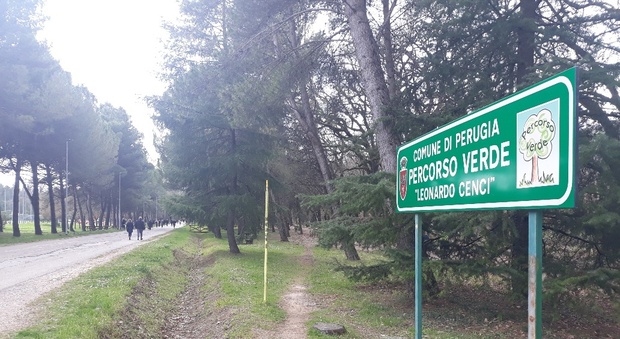 Il percorso verde Cenci a Pian di Massiano, principale polmone della città