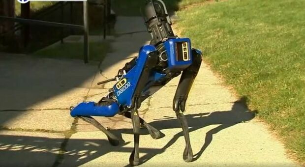 New York, la polizia ingaggia il cane Spot, invincibile RoboCop a quattro zampe Video