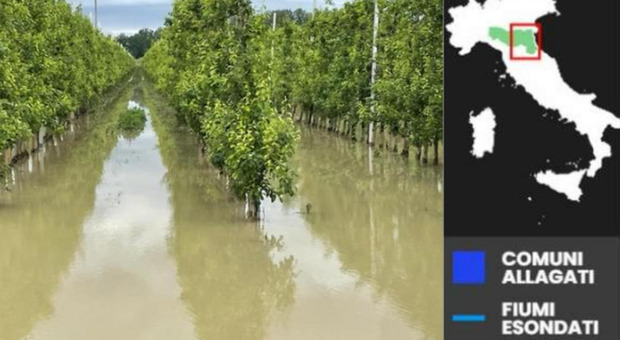 Alluvione Emilia-Romagna, raccolti marcescenti per via dell'acqua che ribolle: gli agricoltori non credono ai propri occhi