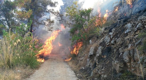 Frosinone, fiamme vicino alle abitazioni: è emergenza incendi boschivi
